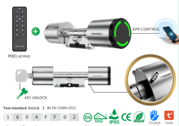 Double sides euro cylinder lock
