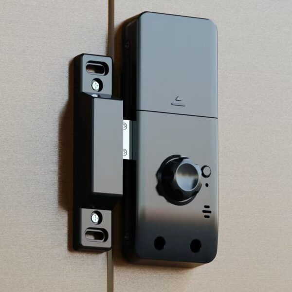 Face reocognition smart rim lock