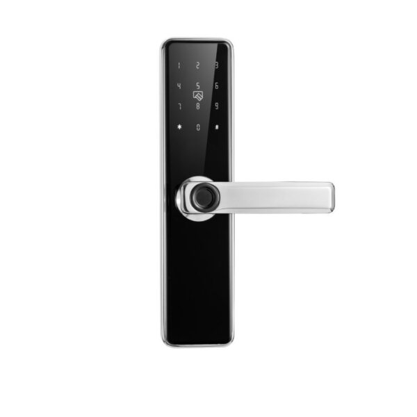 Stainless steel 304 smart door lock