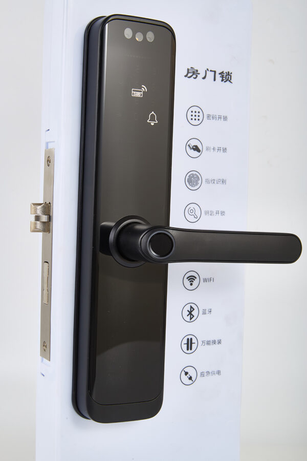Camera display smart door lock