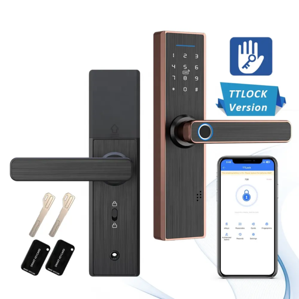 Euro mortise silver smart door lock