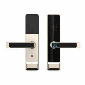 TTlock tuya wifi smart door lock