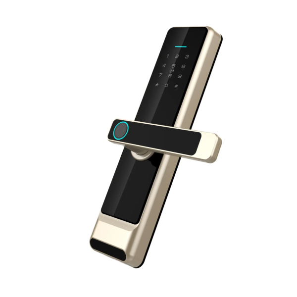 TTlock tuya wifi smart door lock