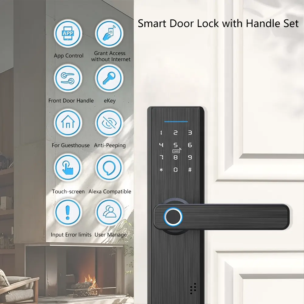 Euro mortise silver smart door lock