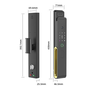 TTlock wifi face camera intercom door lock
