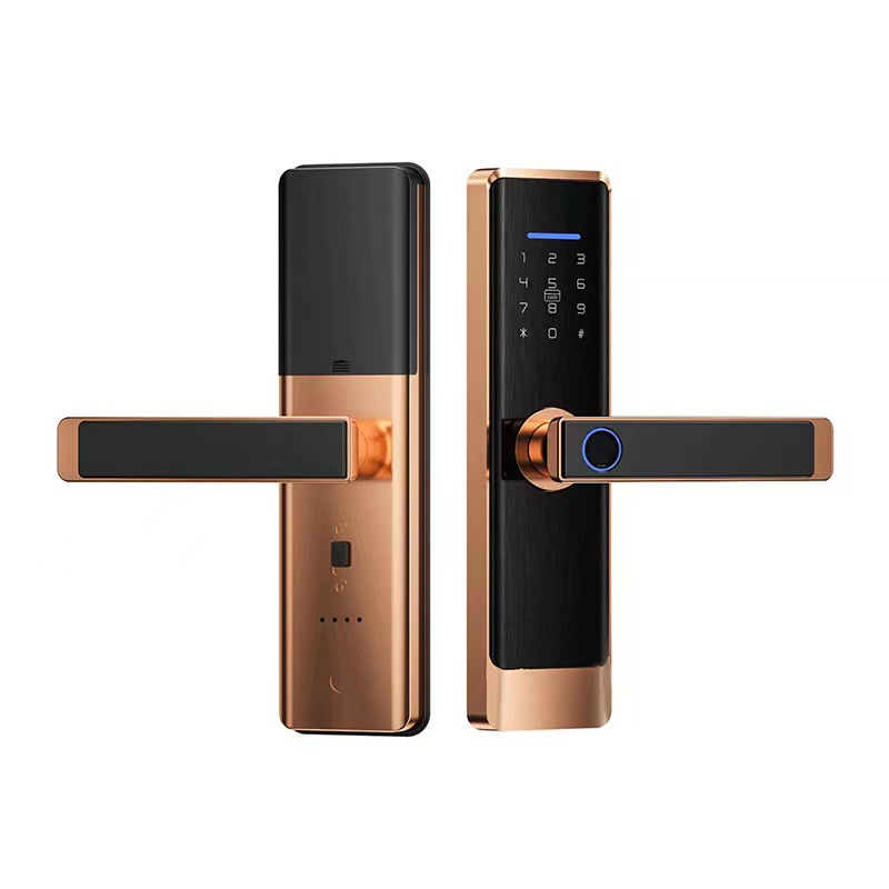 Fingerprint electronic door lock