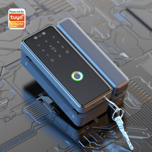 Face recognition glass door lock