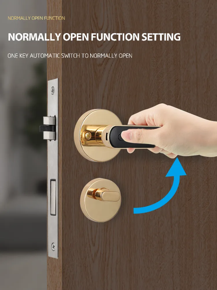 Split lever smart door lock