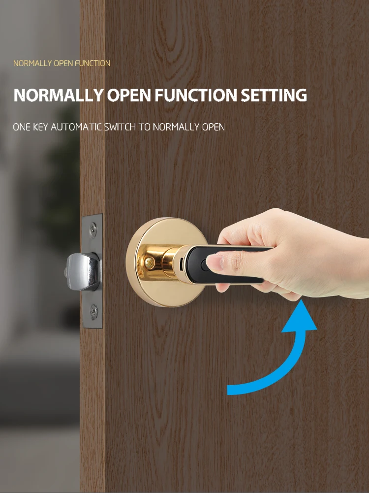 Smart handle lever door lock