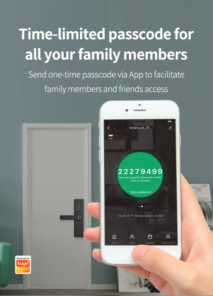 Euro mortise silver smart door lock