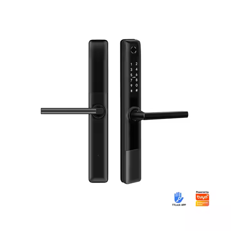 rainproof multipoint slim smart lock
