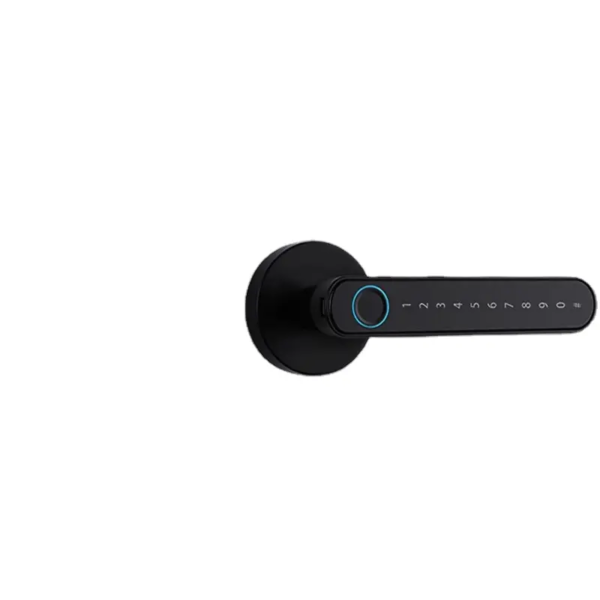 Smart handle lever door lock