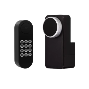 Retrofit smart lock tuya Alexa