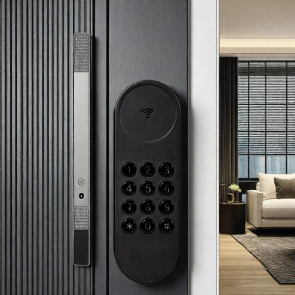 Retrofit smart lock tuya Alexa