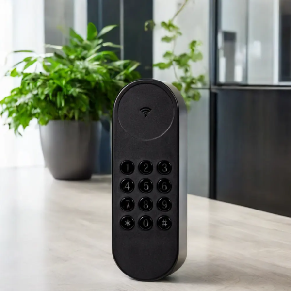 Retrofit smart lock tuya Alexa