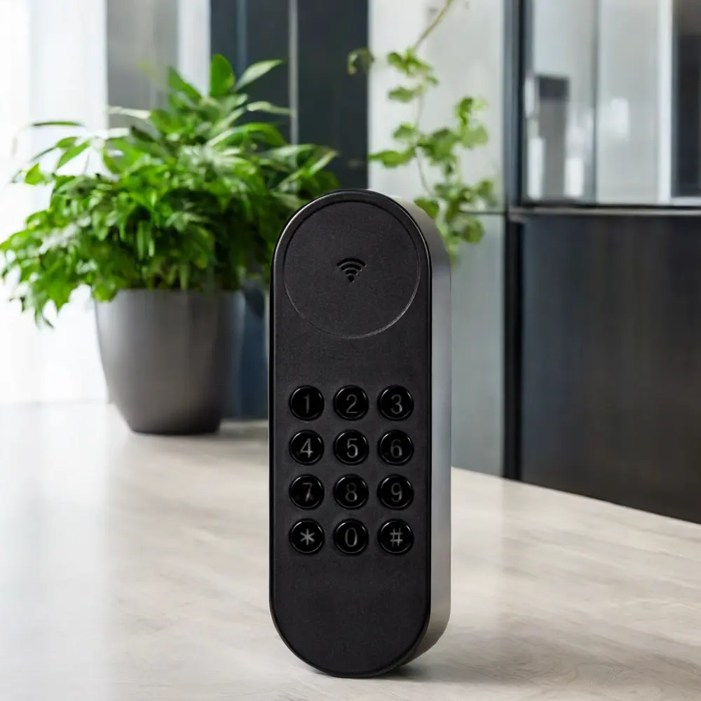 Retrofit smart lock tuya Alexa
