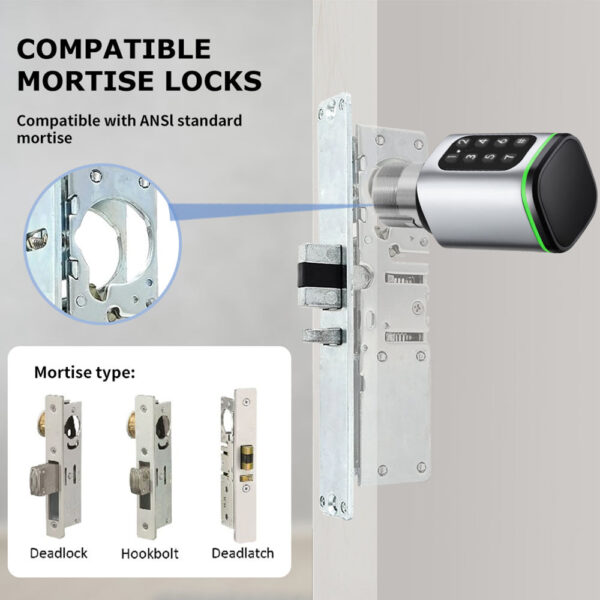 US ANSI Mortise Deadlatch Deadlock - 图片 6