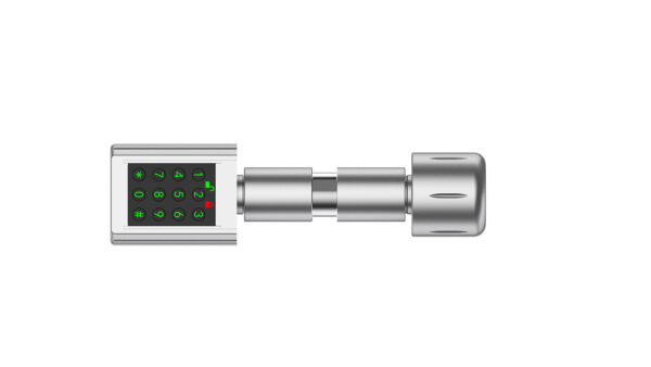 Fingerprint Password Swiss cylinder lock - 图片 3