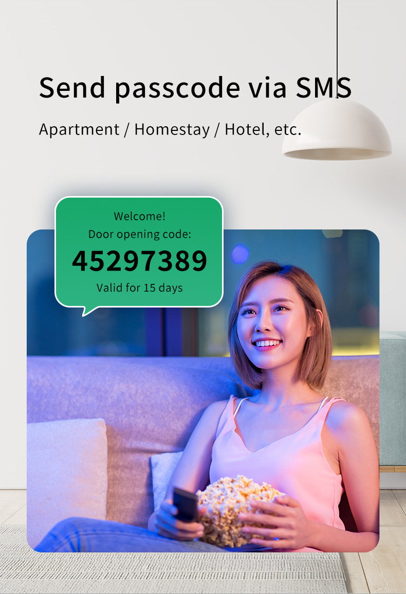 Silver tuya zigbee 6085 smart door lock