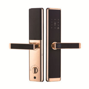 TTlock wifi tuya zigbee 6068 wooden door lock