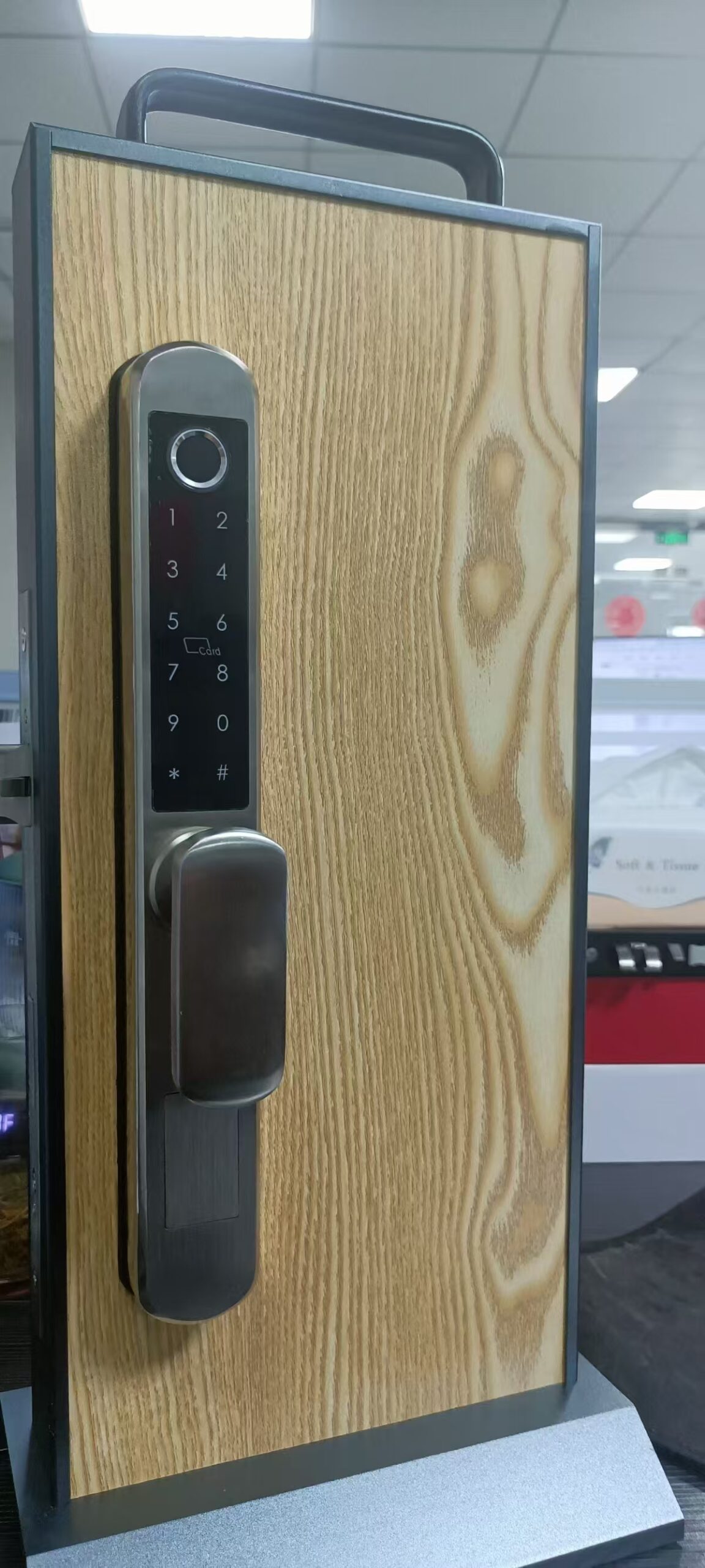 Gold SS304 2885 mortise smart grill lock