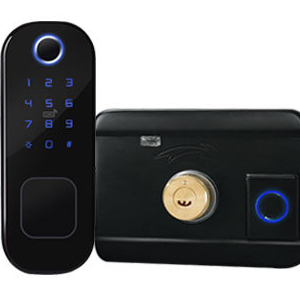 Double Sides Fingerprint Smart Rim Door Lock Tuya Wifi