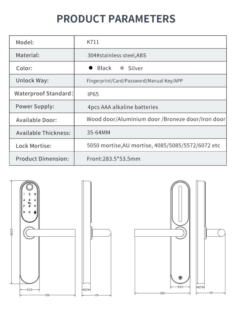 Gold SS304 Slim handle Smart UPVC lock