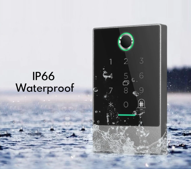 Fingerprint time attendance App Access control lock