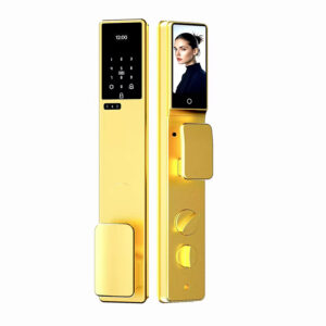 Gold Exterior Israel Thin panel smart lock