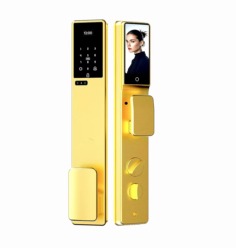 Gold Exterior Israel Thin panel smart lock