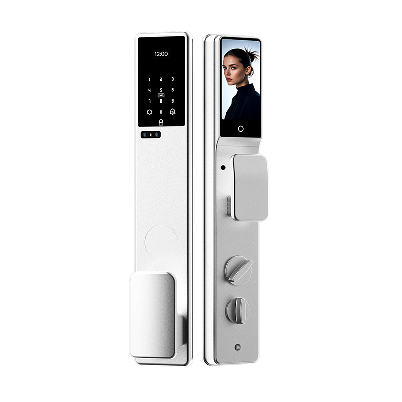 Silver Outdoor palm vein 6068 electronic lock