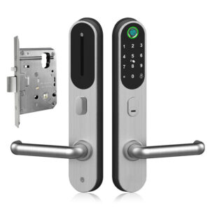 AU mortise SS304 slim smart lock