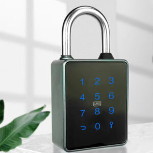 TTlock password waterproof padlock