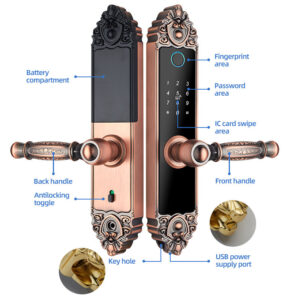 Euro Style Luxury Wooden Smrt door lock