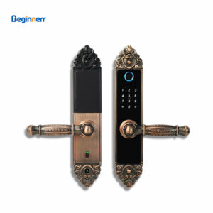 Euro Style Luxury Wooden Smrt door lock